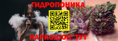 амф Можга