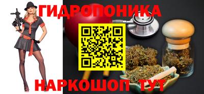 амф Можга