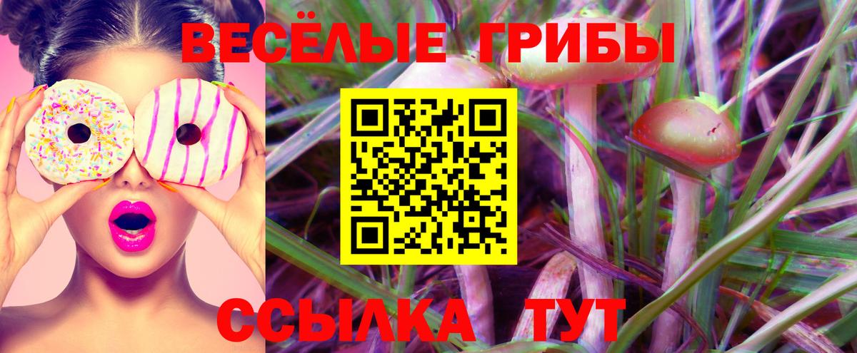 Псилоцибиновые грибы Psilocybine cubensis Тавда